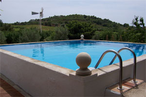 casita molino view of pool and windmill